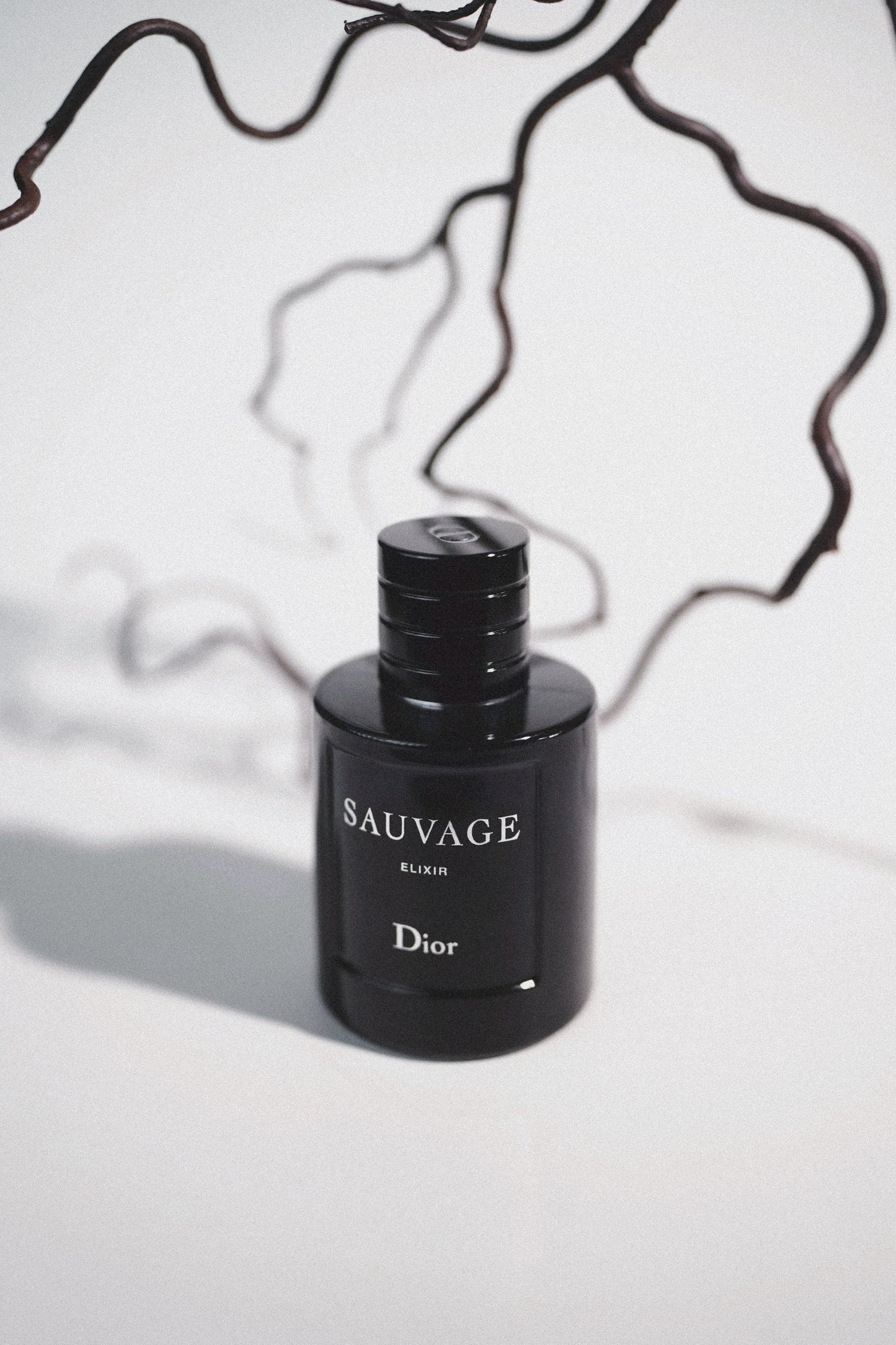 Dior Sauvage Elixir