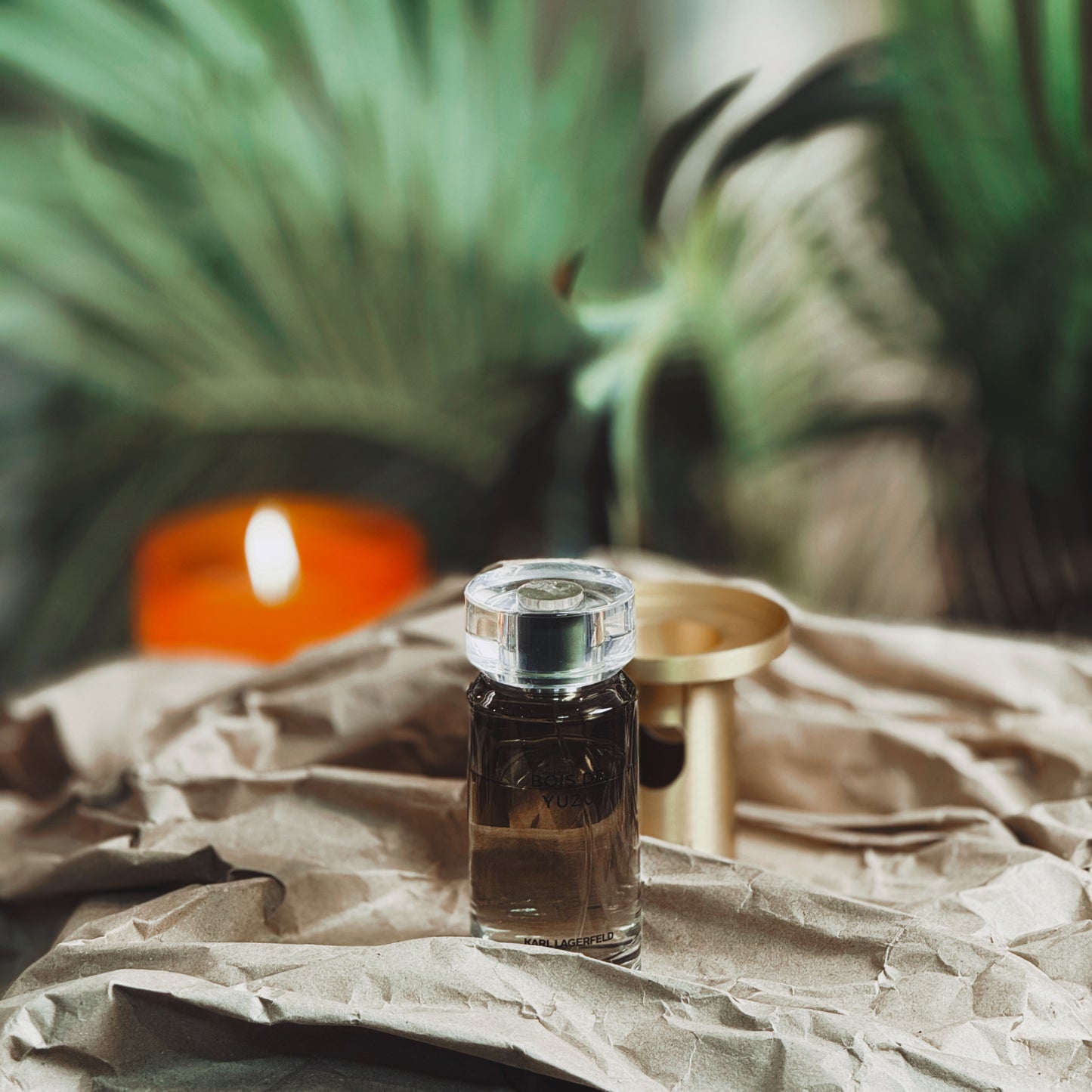 Karl Lagerfeld Bois De Yuzu EDT