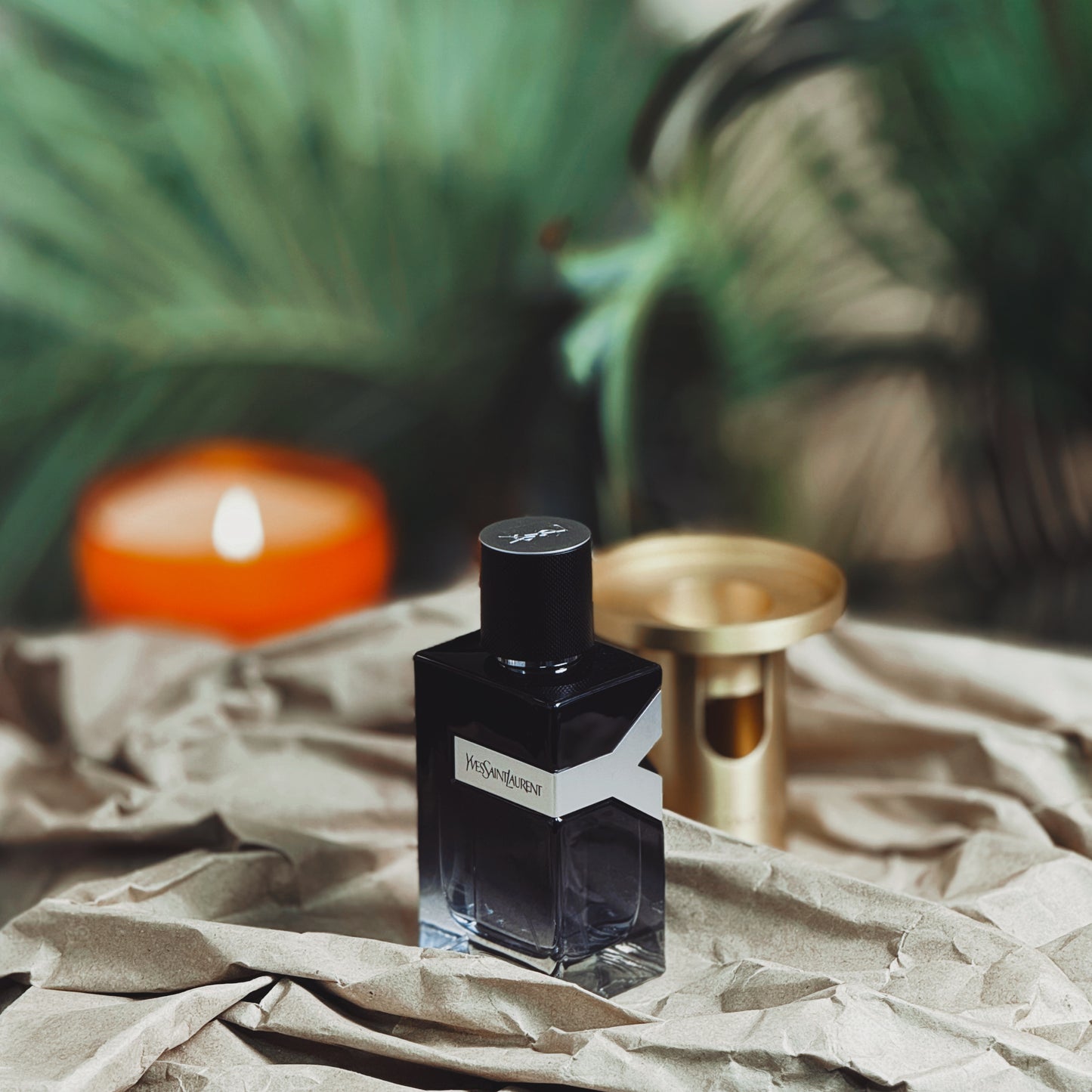 Ysl Y EDP
