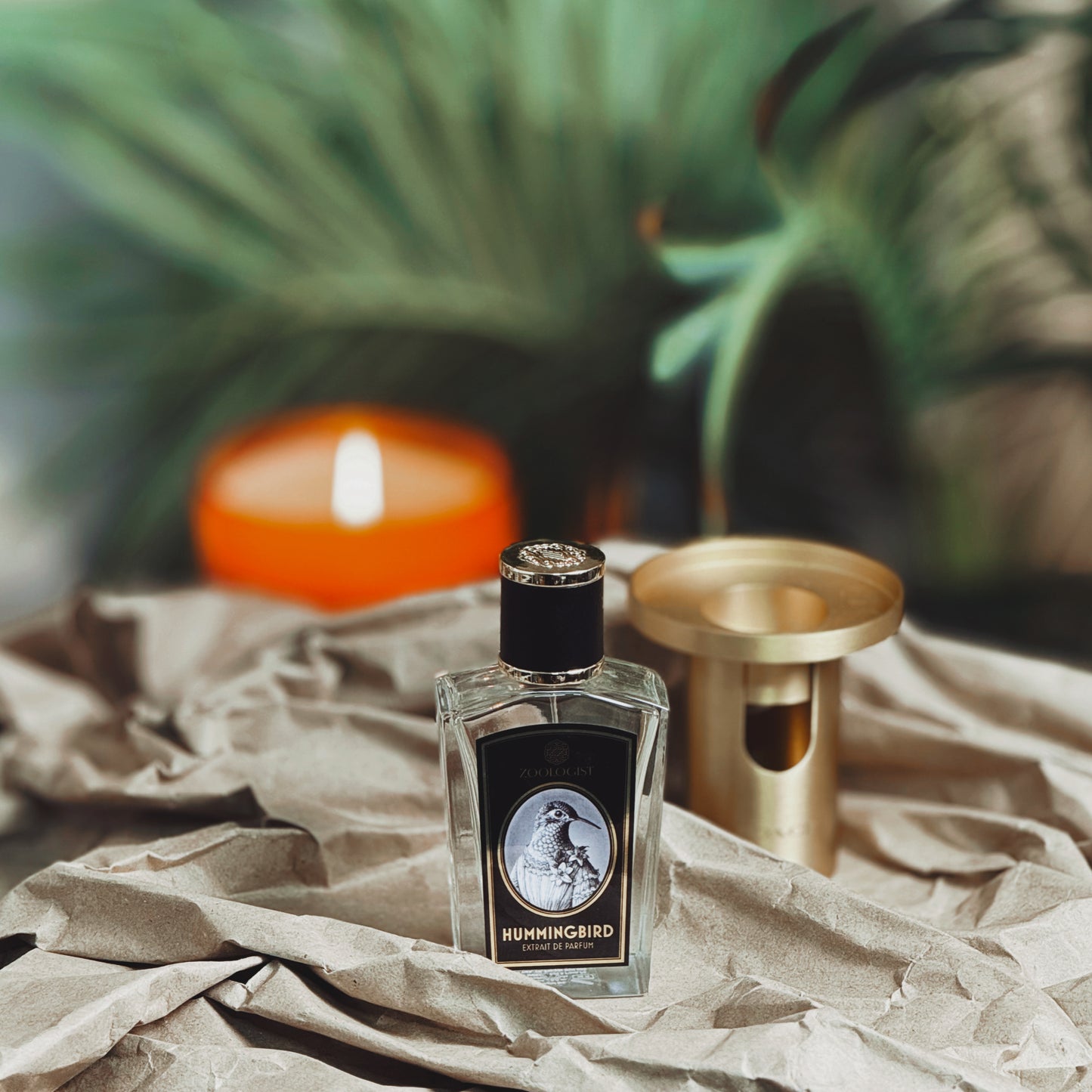 Zoologist Hummingbird Extrait De Parfum