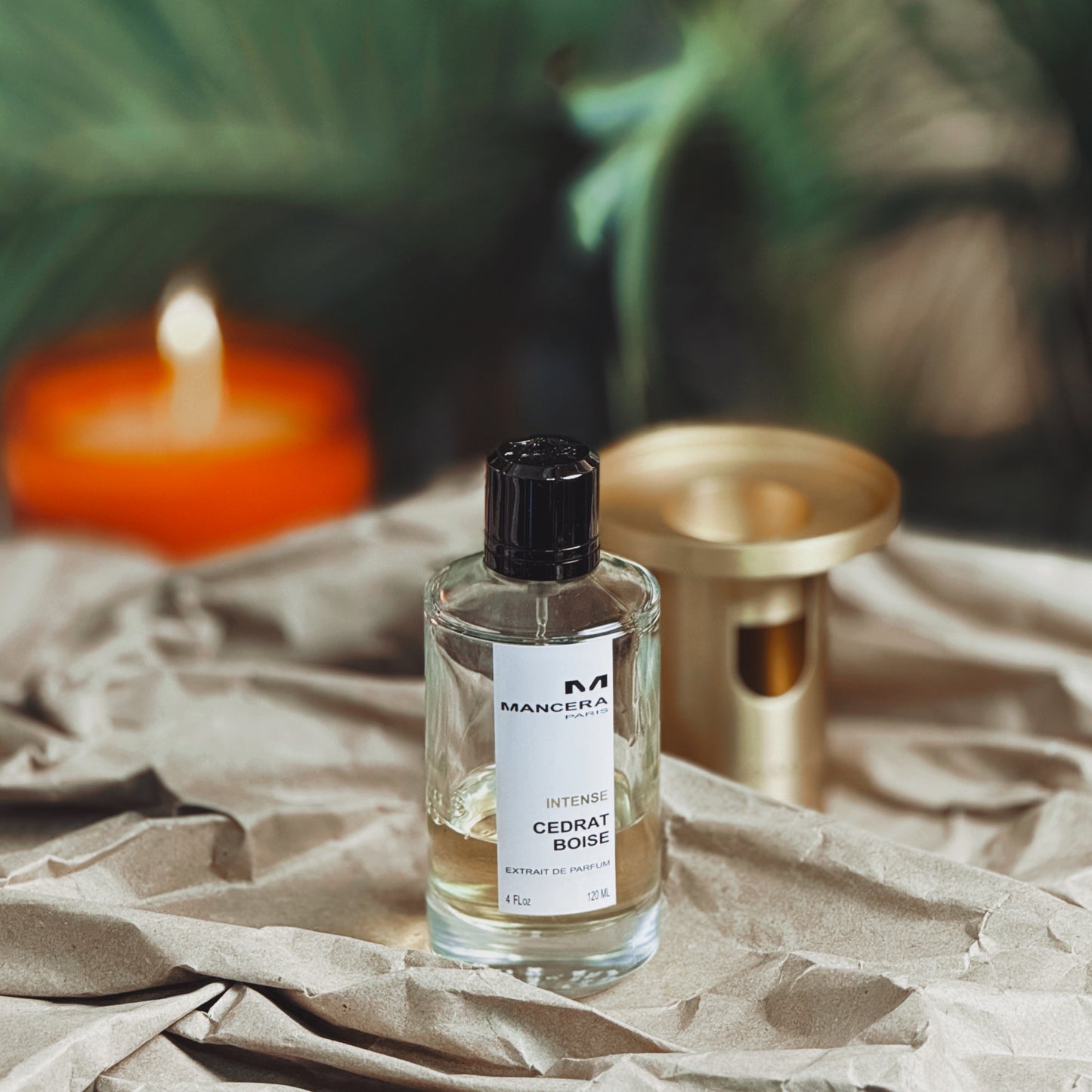 Mancera Cedrat Boise Intense Extrait