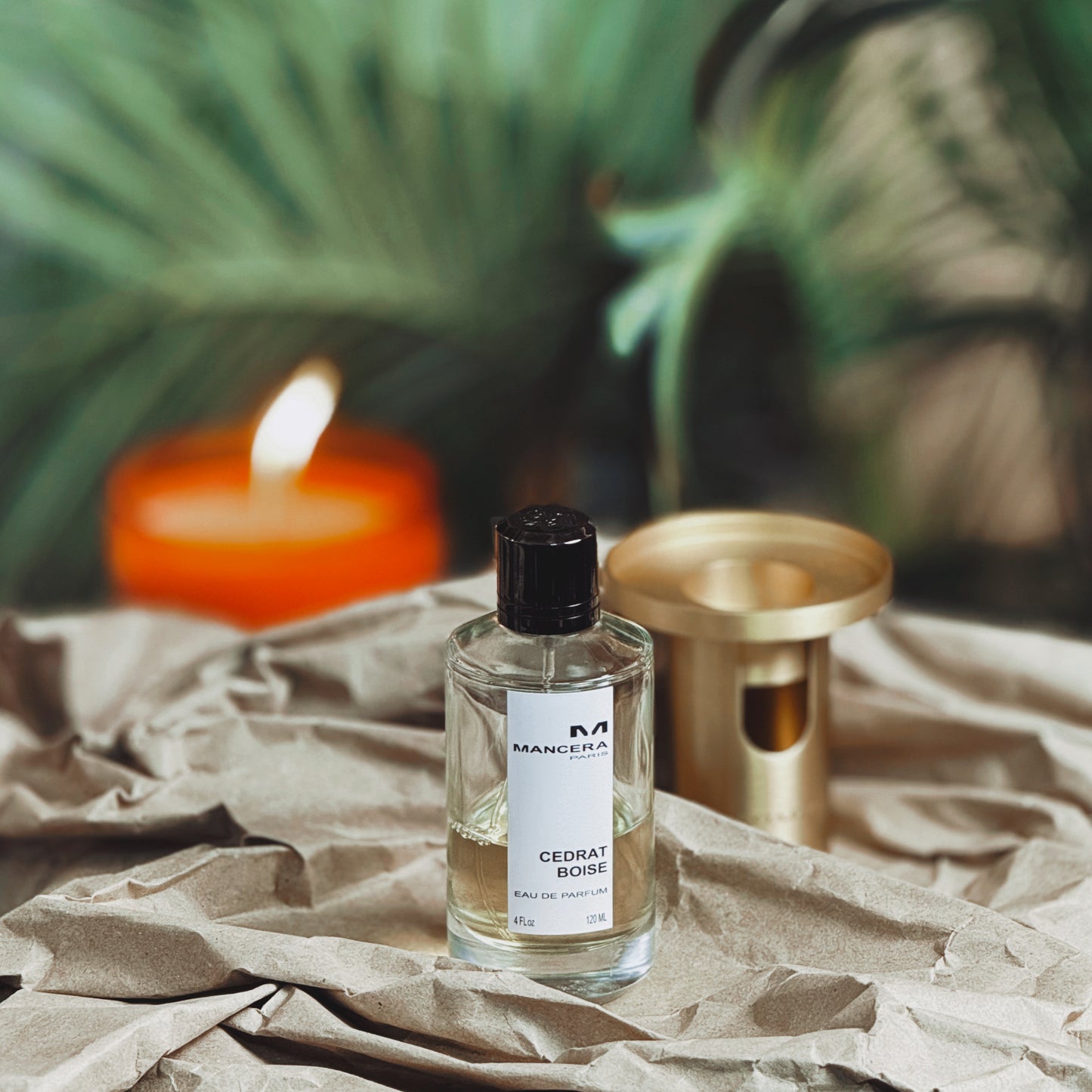 Mancera Cedrat Boise EDP