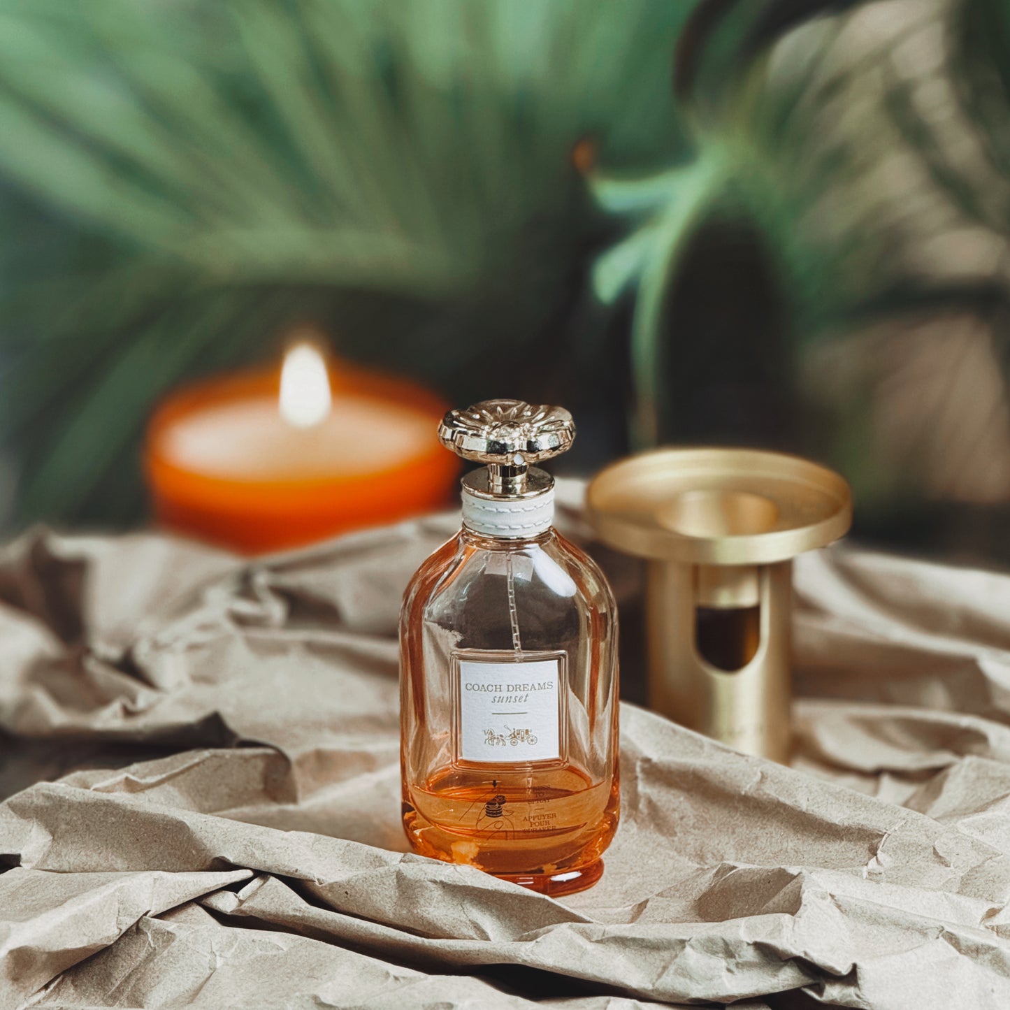 Coach Dreams Sunset EDP