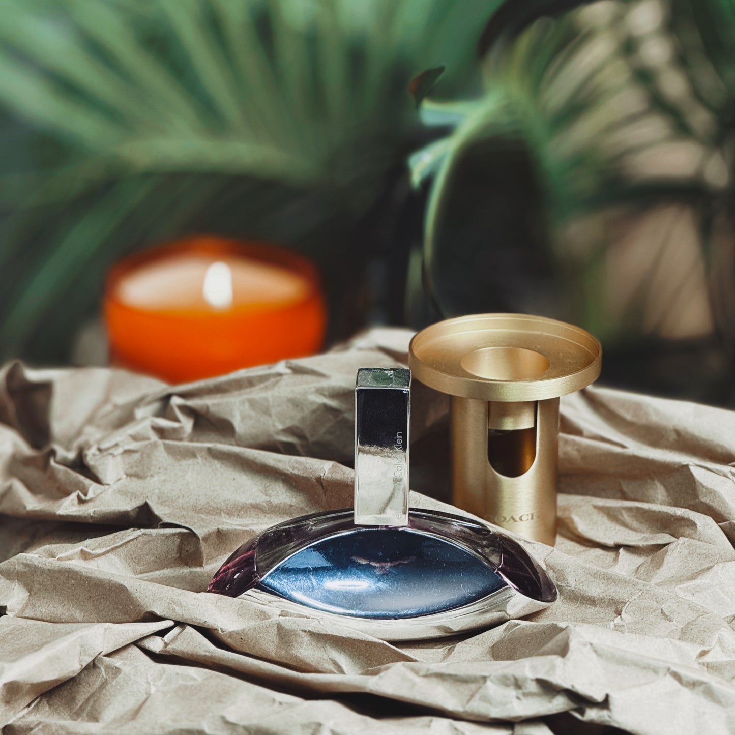 Calvin Klein Euphoria Women