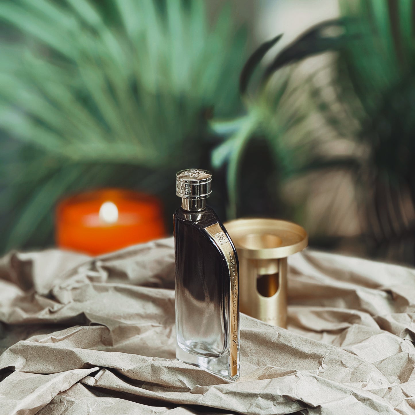 Reyane Tradition Insurrection Ii Wild