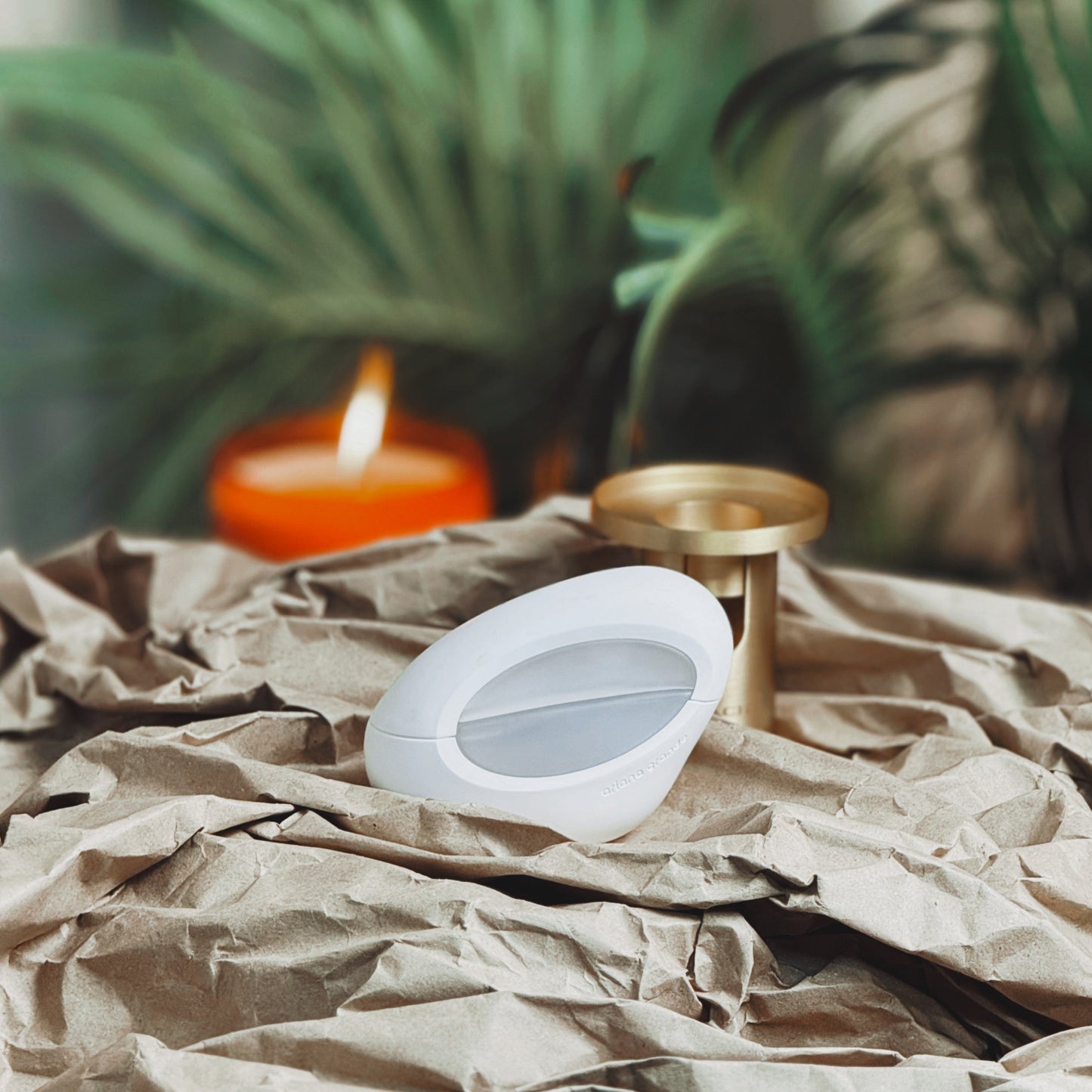 Ariana Grande Mod Vanilla Eau De Parfum