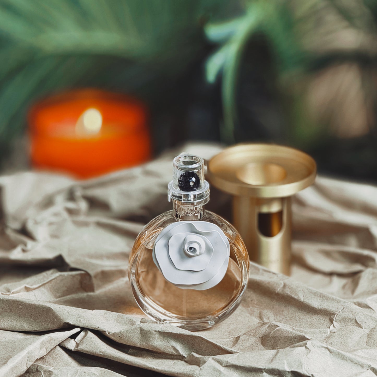 Valentino Valentina EDP