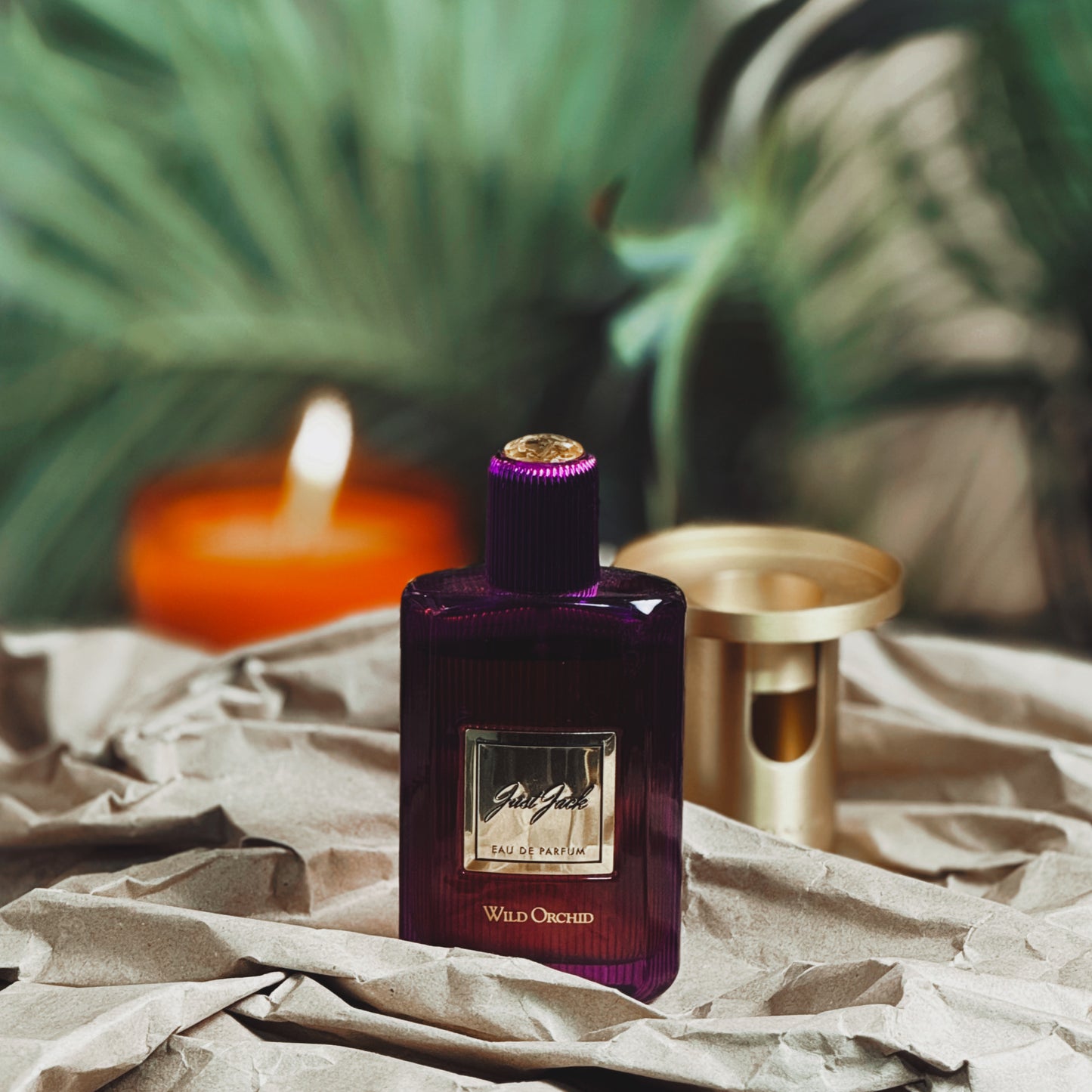 JUST JACK WILD ORCHID EDP